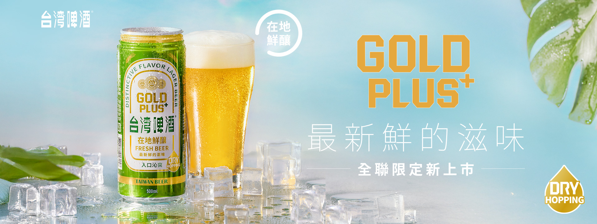 金牌PLUS鮮台灣啤酒