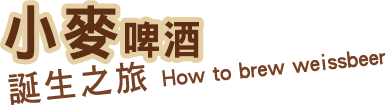 小麥啤酒誕生之旅